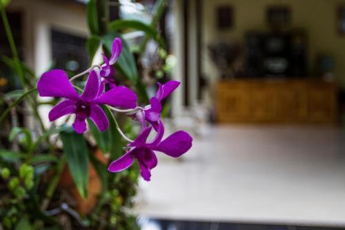 Ubud Tri Upasedana House 2 Теґалаланґ Екстер'єр фото